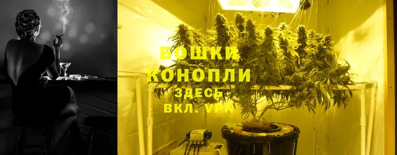 Шишки марихуана THC 21%  shop телеграм  Ялуторовск 